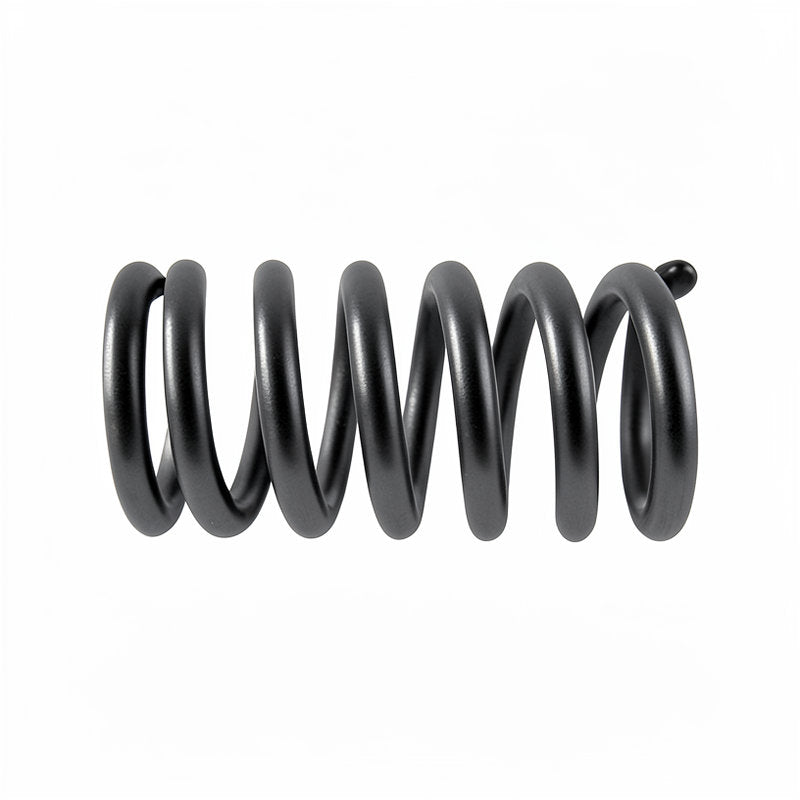 FIORENZATO F5 BLADE HOLDER SPRING