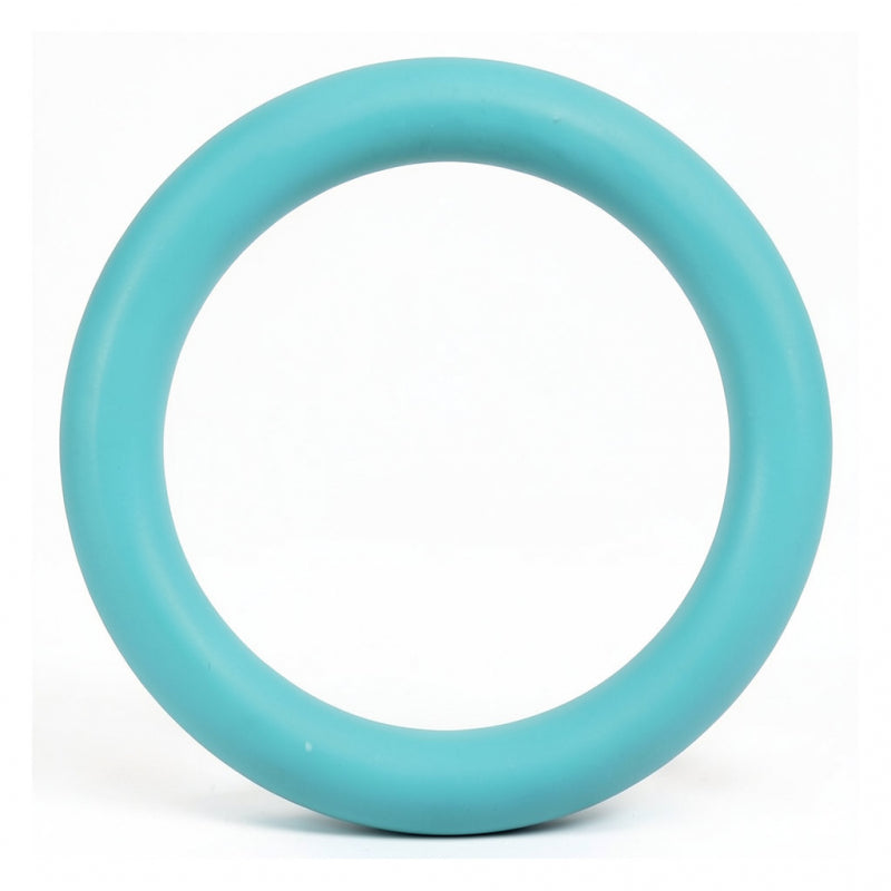 O RING 25.70 X 18.64 X 3.53MM - VITON