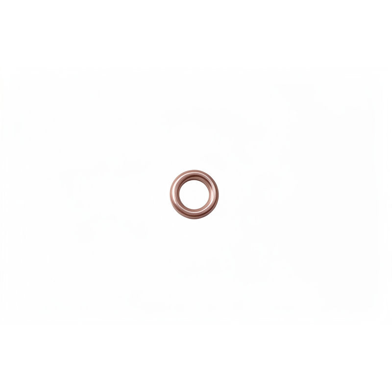 DALLA CORTE STEAM VALVE O RING