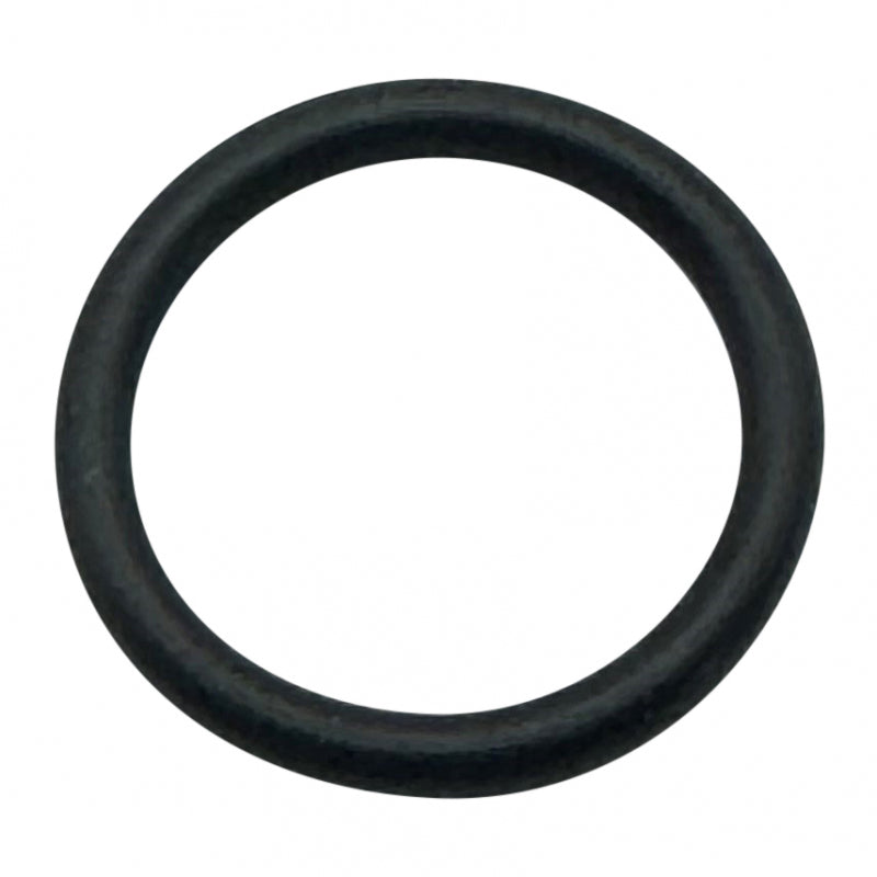 DALLA CORTE GROUP BOILER ELEMENT O RING