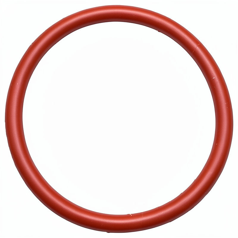CIMBALI BREWER O RING 46MM