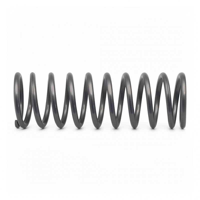 E61 MANUAL GRP PLUNGER SPRING