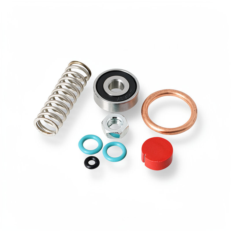 SANREMO F18 STEAM VALVE KIT