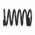 E61 VALVE ROD SPRING