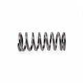 CONTI STANDARD STEAM/WATER VALVE SPRING