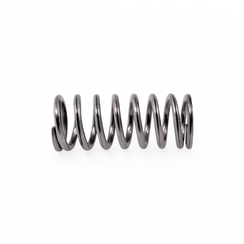 CONTI STANDARD STEAM/WATER VALVE SPRING