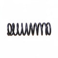 WATER CHARGING VALVE SPRING