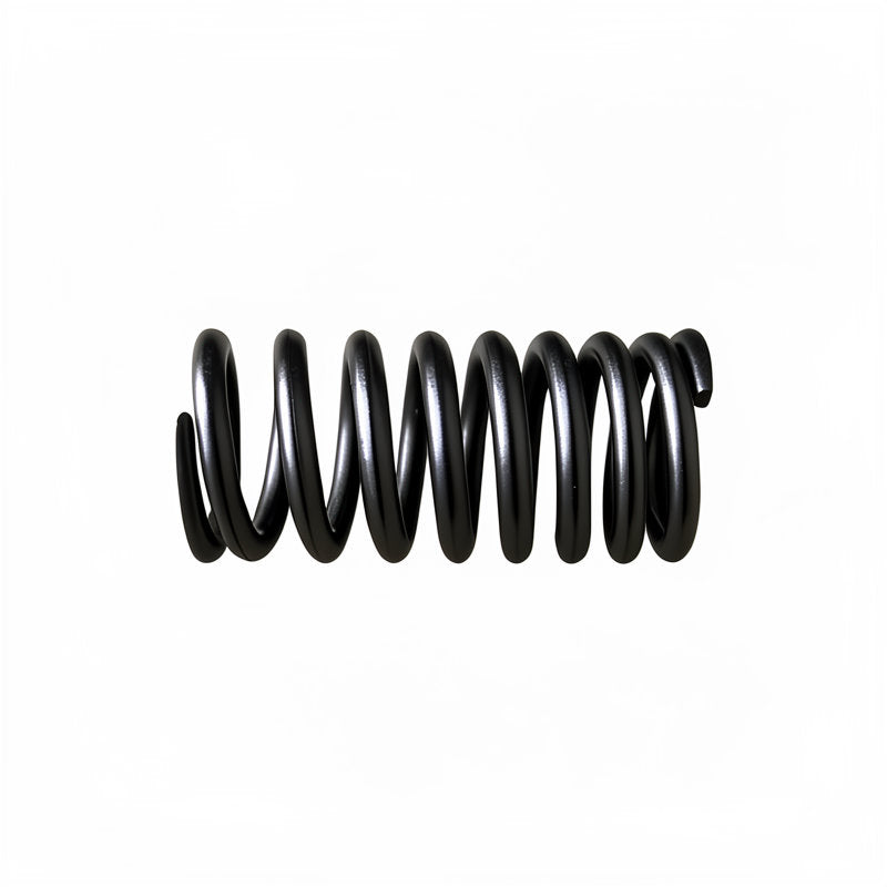 E61 EXPANSION VALVE SPRING
