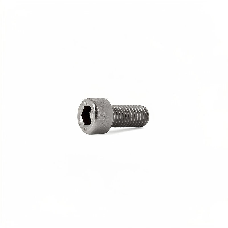 S/S SCREW M6 X 14MM TCE