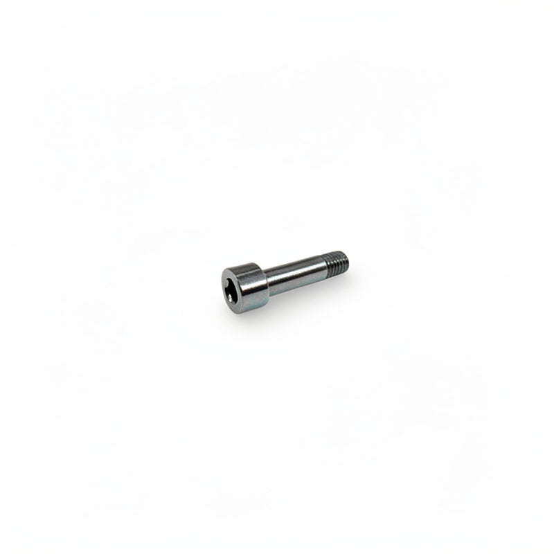 S/S ALLEN SCREW M5 X 20MM
