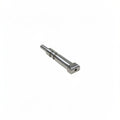 STEAM VALVE INOX SCREW