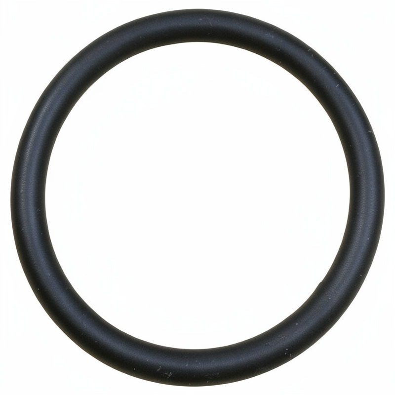 O RING 57.65 X 46.99 X 5.33MM - VITON BLUE