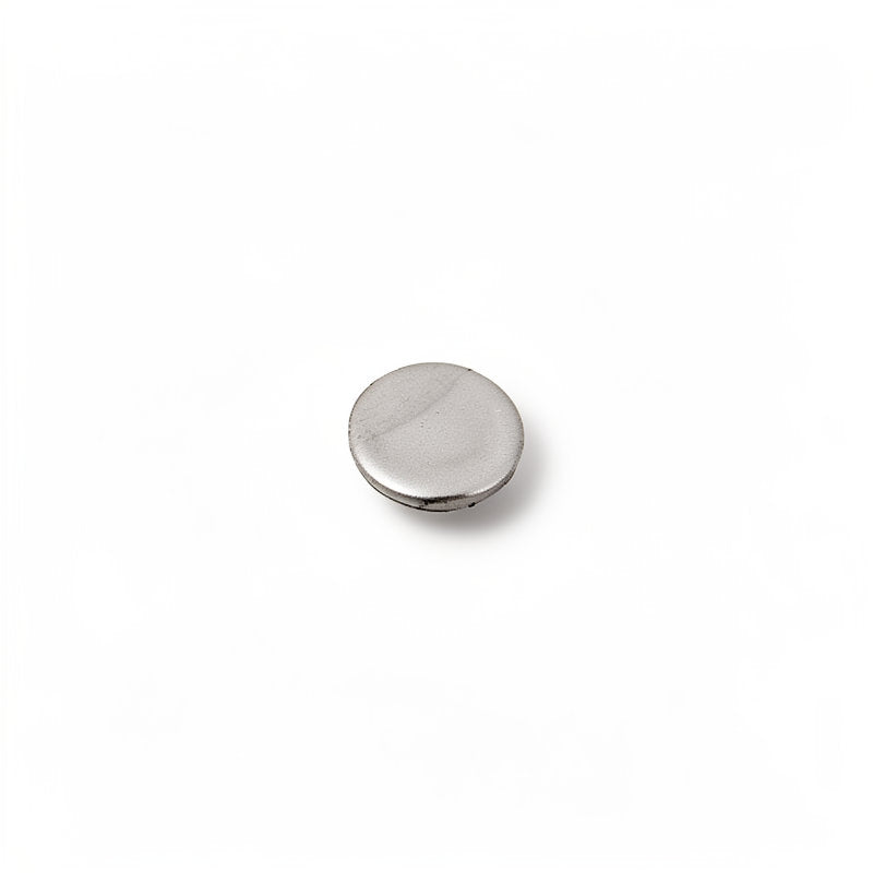 S/S DISC FOR STEAMVALVE
