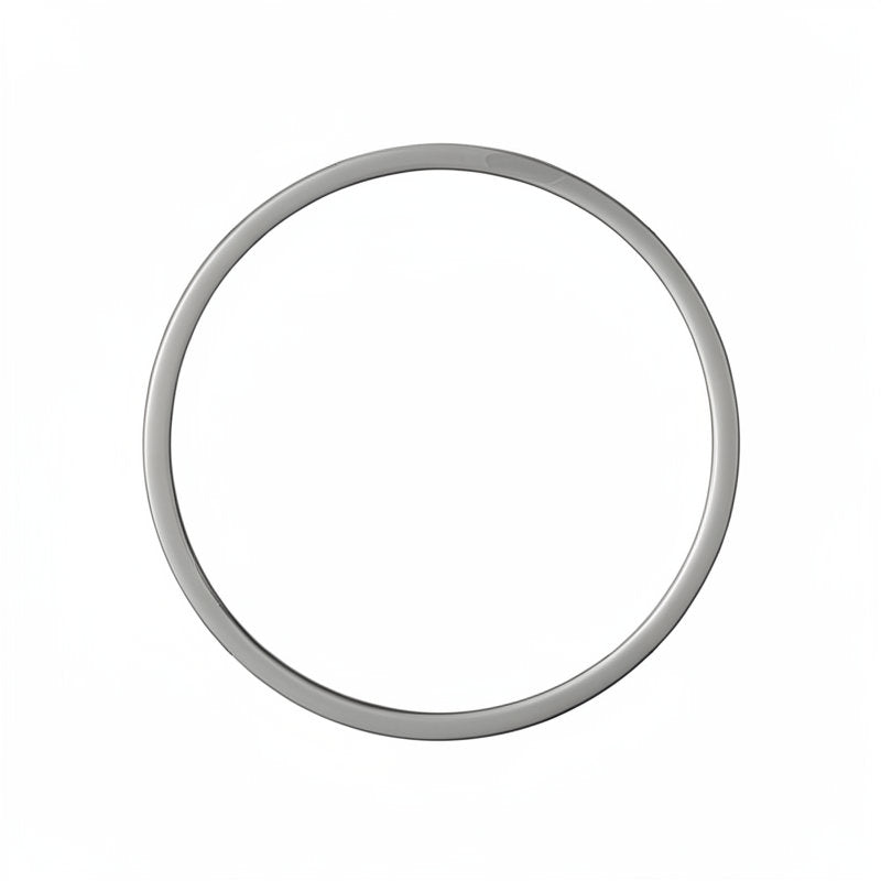 VIBIEMME PTFE BOILER GASKET 165 X 152 X 4MM
