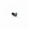 S/S SCREW M5 X 12MM TPS
