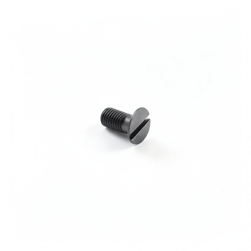 S/S SCREW M5 X 12MM TPS