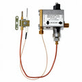 SELF-REGULATING GAS RG20 WITH CABLE AND THERMOCOUPLE