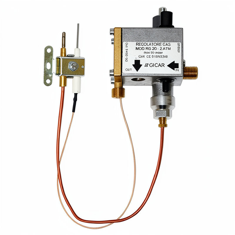SELF-REGULATING GAS RG20 WITH CABLE AND THERMOCOUPLE