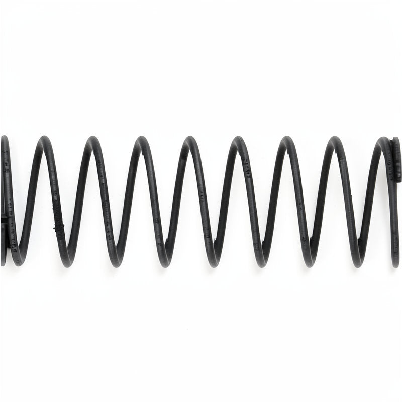CIMBALI DOUBLE VALVE SPRING