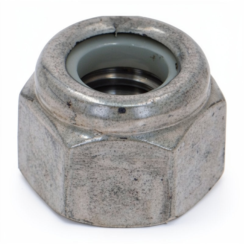 S/S M6 NUT