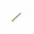 SCREW S/S TCTCR M3 X 30MM
