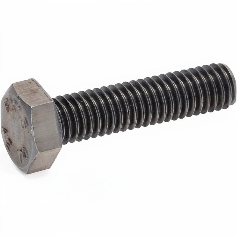 SCREW S/S TE M6 X 25MM