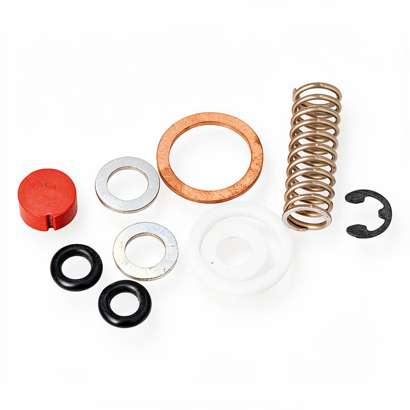 SANREMO D8 STEAM VALVE KIT