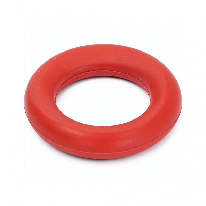 SAECO OR 2021 SILICONE