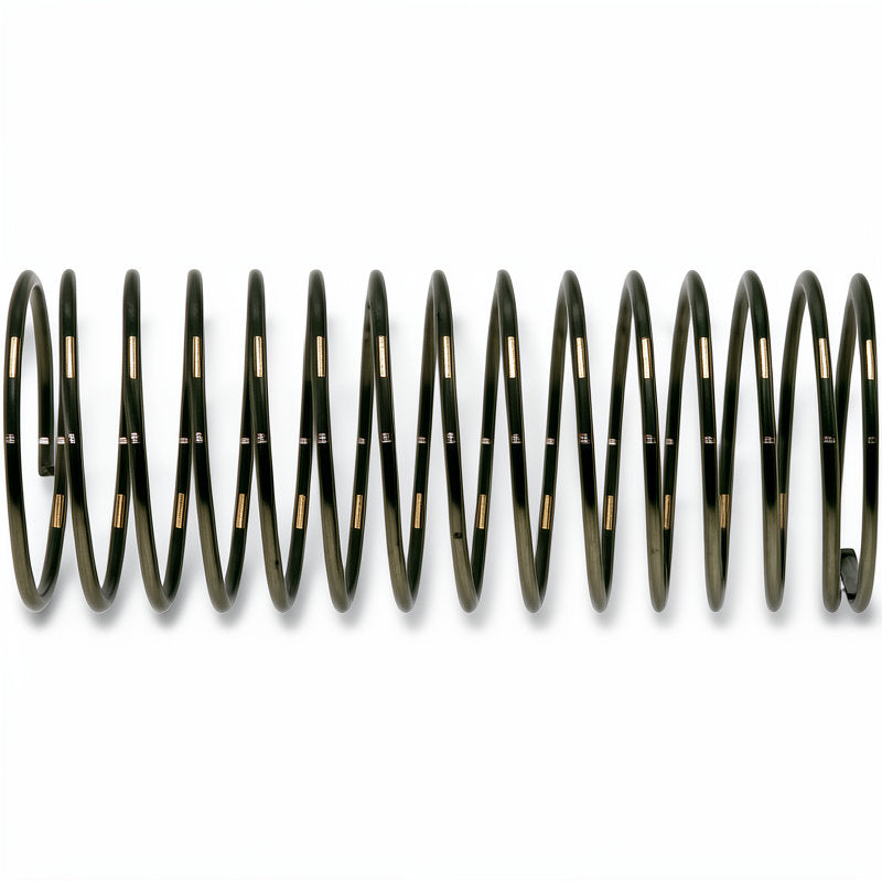 QUALITY ESPRESSO CHECK VALVE GUIDE SPRING