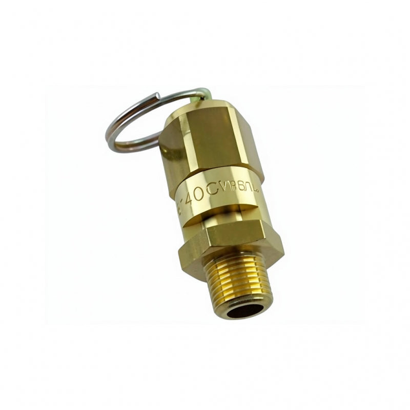 1/8 FIAMMA SAFETY VALVE