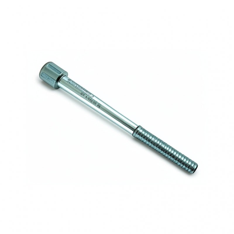 HEX SOCKET SCREW M12 X 100MM