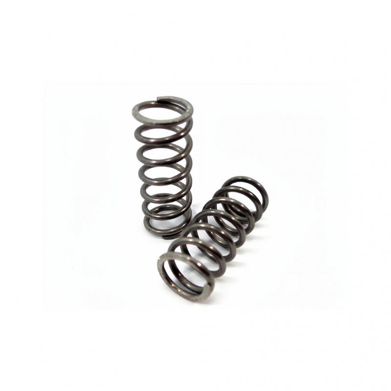 FIAMMA VALVE SHAFT SPRING