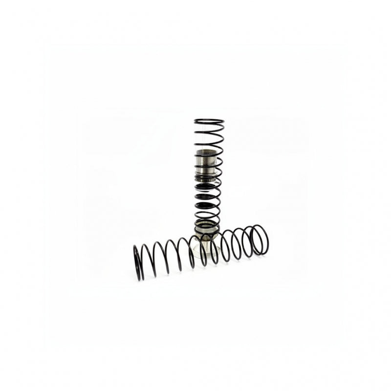 FIAMMA NON-RETURN VALVE SPRING (GR. ECC-07)