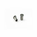 FIAMMA SPRINKLER SCREW