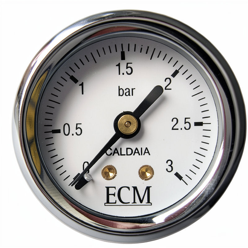 ECM BOILER PRESSURE GAUGE