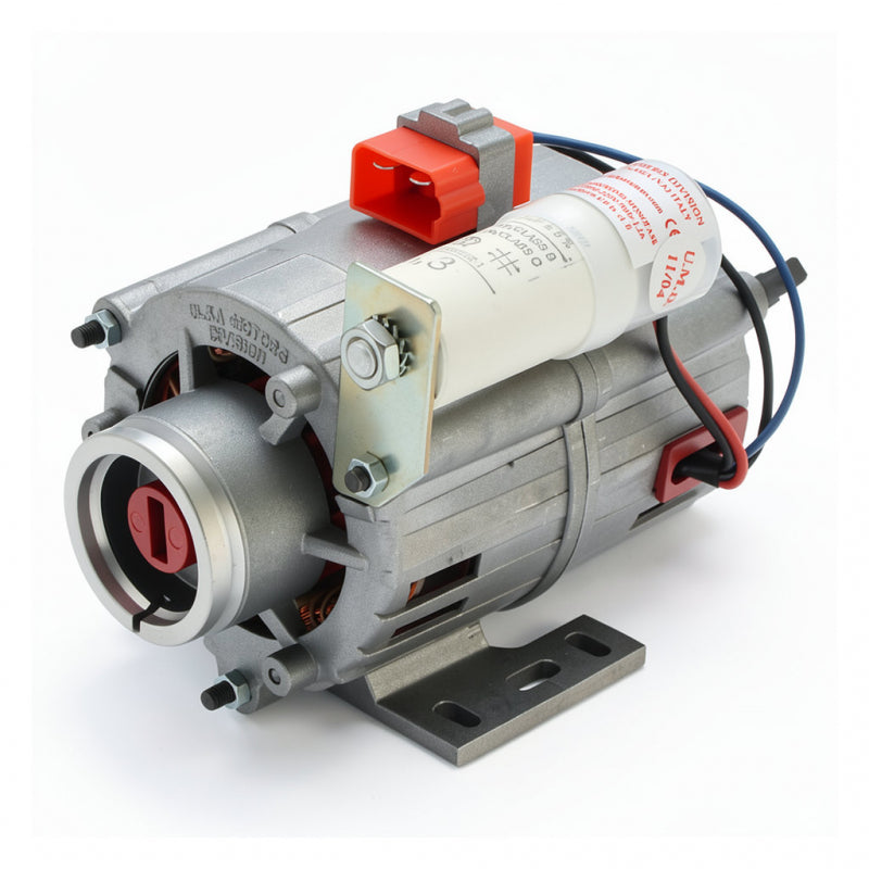 ULKA PUMP MOTOR 100W 230V
