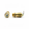 PROFITEC SAFETY VALVE 1/4M 2.5 BAR