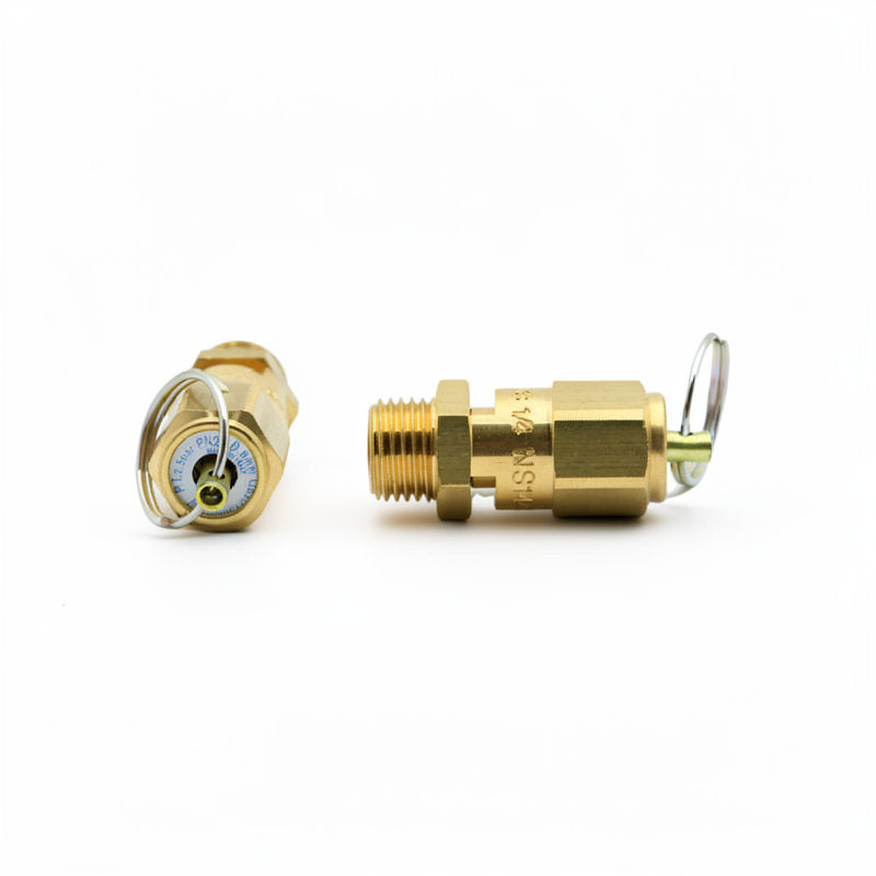 PROFITEC SAFETY VALVE 1/4M 2.5 BAR