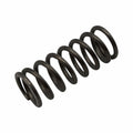 VALVE SPRING