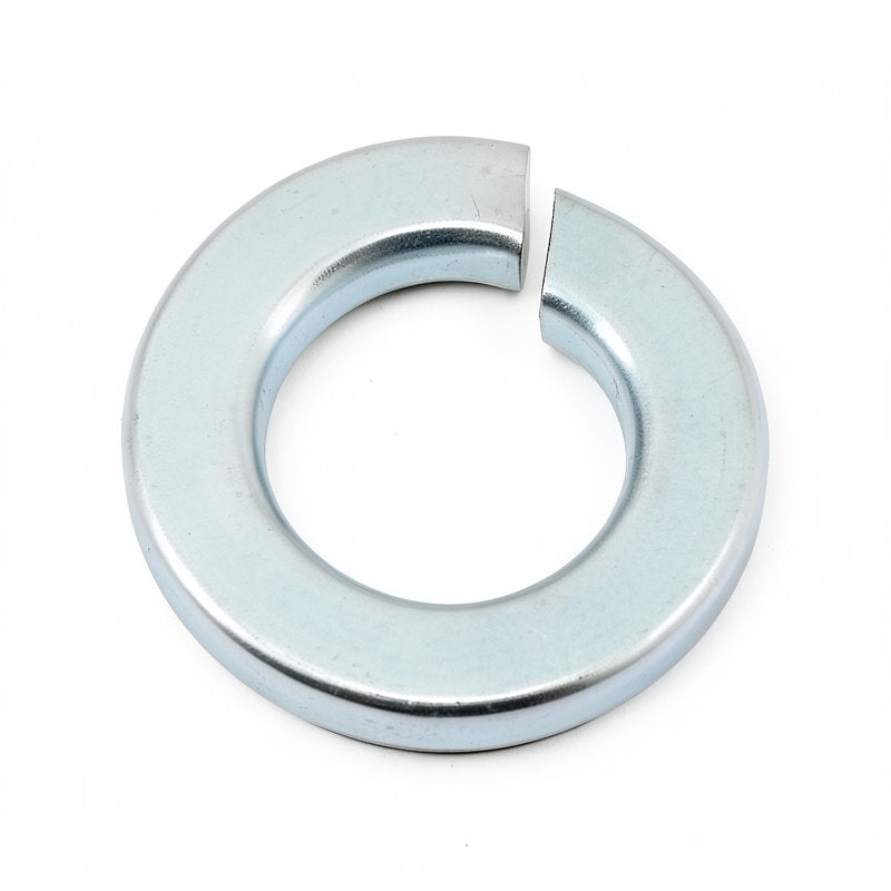 M6 SPRING WASHER