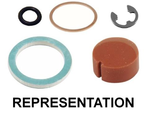 Steam/Water Valve Seal Kit - New Style, Epoca,Classe 10, C6 &amp; C8  - PN: RA2955JS - commercial coffee spare part