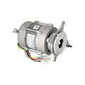 Eureka Mignon Brew Pro Motor - commercial coffee spare part